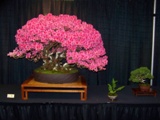 Annual Show 2011 - 25 2011